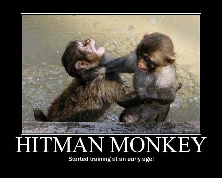 Hitman_7257d8_189476.jpg